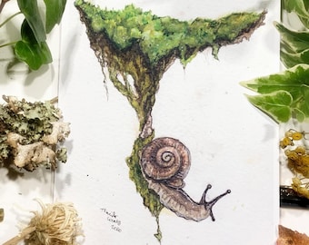 Mossy Snail Prints