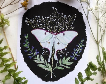 Luna Moth Prints