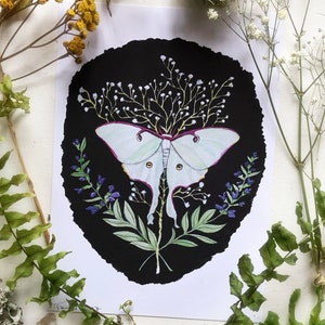Luna Moth, Art Prints, Witch Art, Moth Art, Watercolor Painting, Witch Painting, Luna Moth Art, Cottagecore Art, Nature Prints, Moth Prints