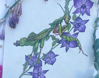 Ghost Mantis Original Watercolor Painting