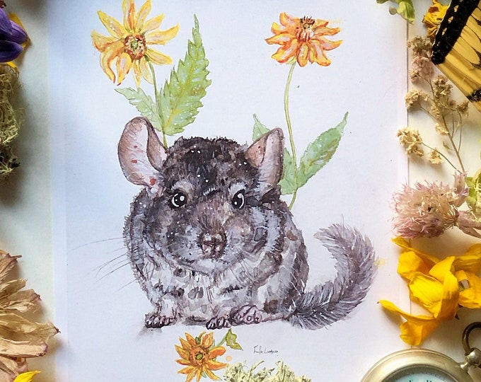 Chinchilla Prints