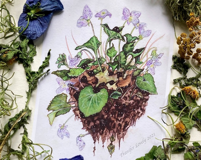 Violet Spirits Prints