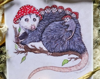 Mother Possum Prints