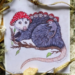 Mother Possum, Art Prints, Opossums, Cute Animals, Possum Art, Cute Nursery Art, Mushroom Art, Mothers Day Gifts, 5x7 Prints, 8x10 Prints