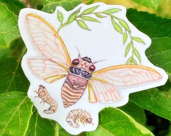 Cicada Stickers