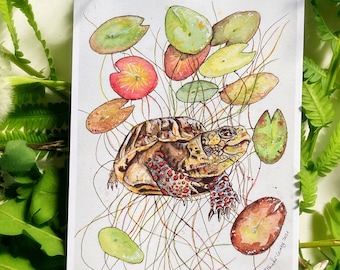 Painted Turtle Prints