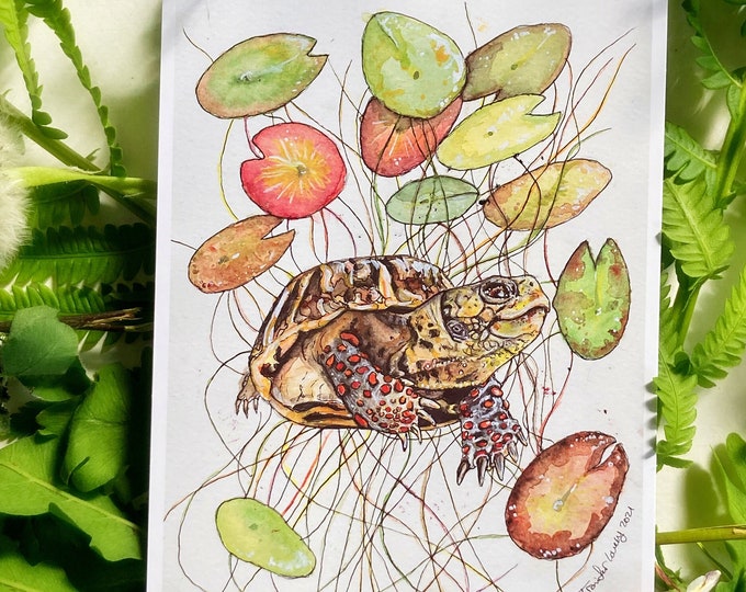 Painted Turtle Prints