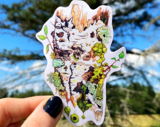 White Birch Ghosts Sticker