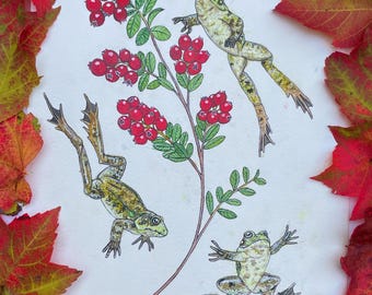 Cranberries and Frogs Original Watercolor Painting