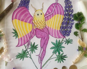 Rosy Maple Mothman
