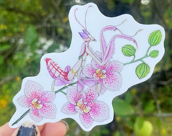 Orchid Mantis Sticker
