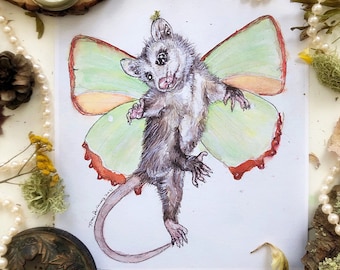 Fairy Opossum Prints