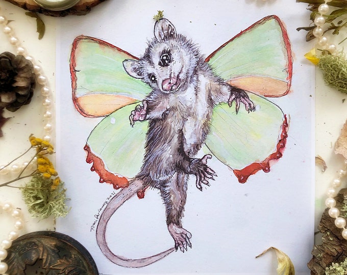 Fairy Opossum Prints