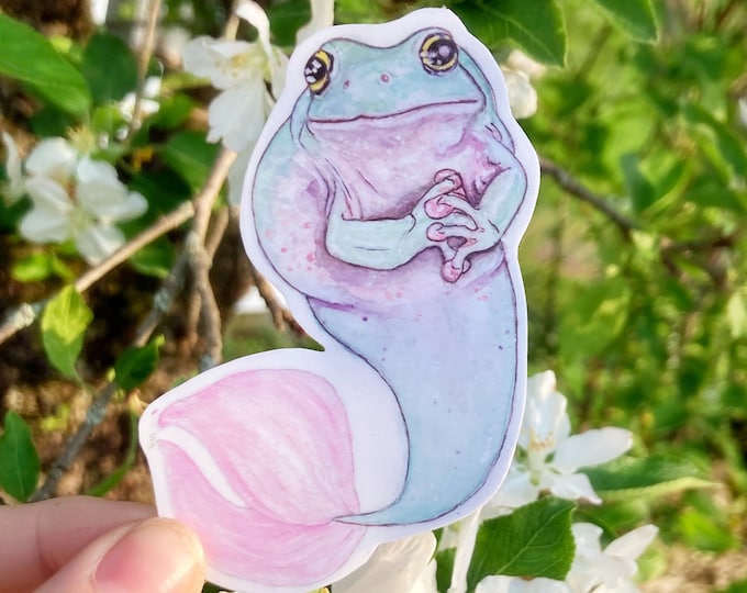 Mermaid Frog Stickers