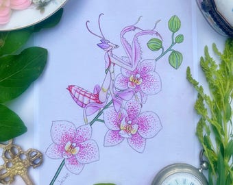 Orchid Mantis Art Prints
