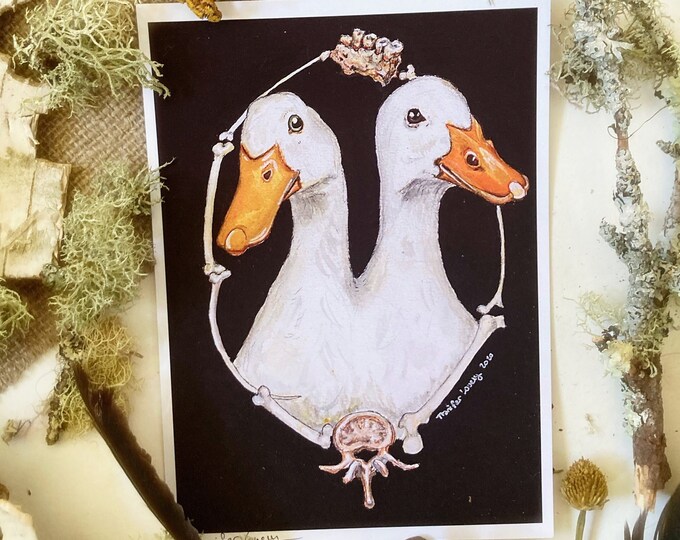 Conjoined Ducks Prints