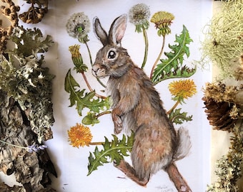 Cottontail Rabbit Prints