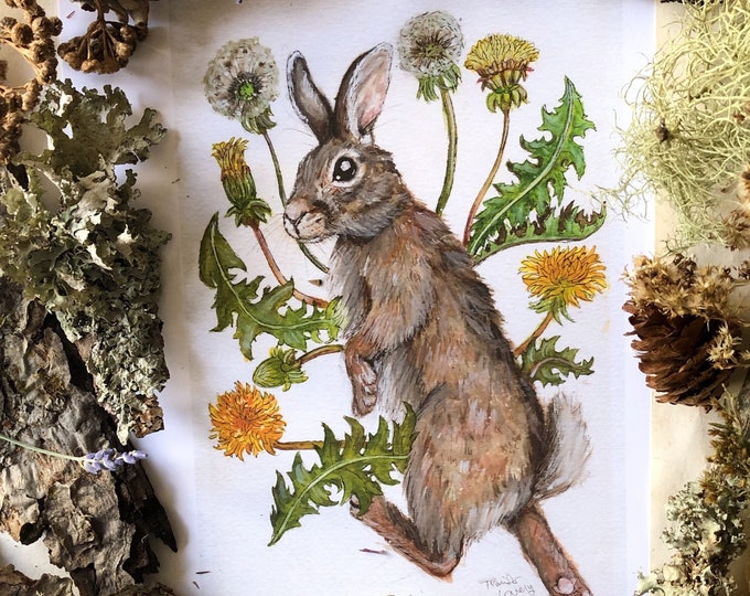 Cottontail Rabbit Prints