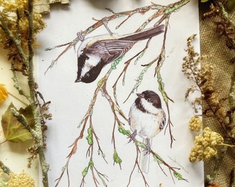 Chickadees Prints