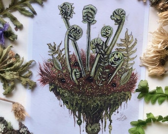 Fiddlehead Spirits Prints