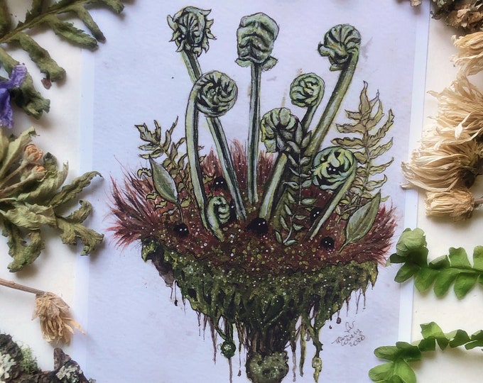Fiddlehead Spirits Prints
