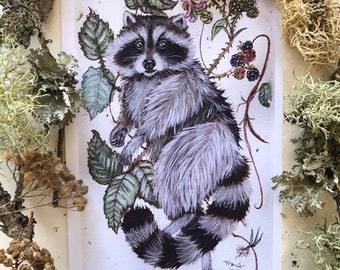 Raccoon Print - Raccoon Watercolor, Raccoon Wall Art, Raccoon Art Print, Wildlife Nursery Art, Woodland Nursery Decor, Cute Raccoon Art