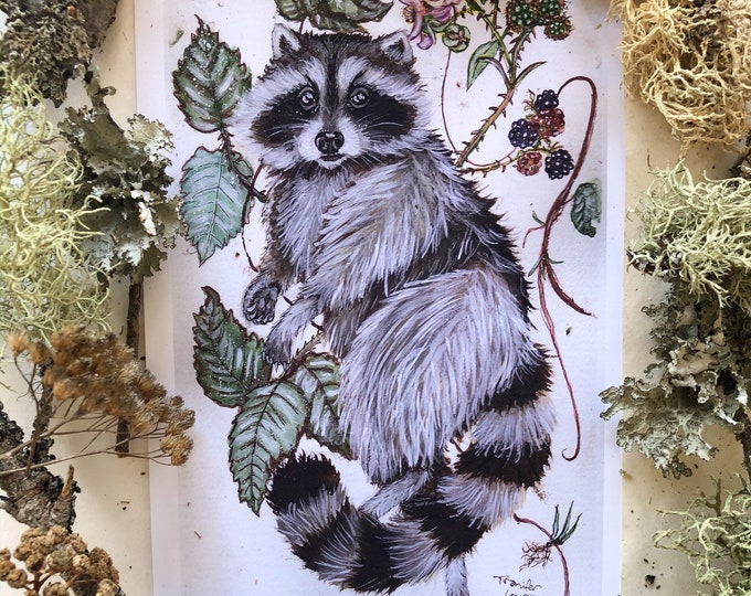 Raccoon Prints