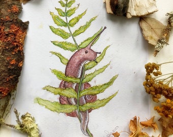 Snail and Fern Prints