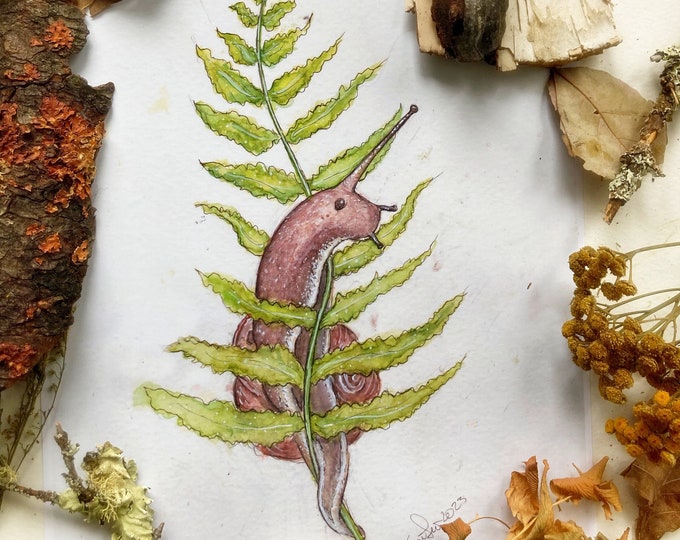 Snail and Fern Prints