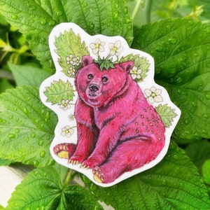 Strawberry Bear Sticker, Bear Art, Strawberry Art, Vinyl Decal, Bumper Sticker, Cottagecore Sticker, Cute Stickers, Fairy Art