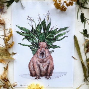 May include: A watercolor illustration of a capybara with a peace lily plant growing out of its head. The capybara is brown and has a white muzzle. The peace lily plant has white flowers and green leaves.