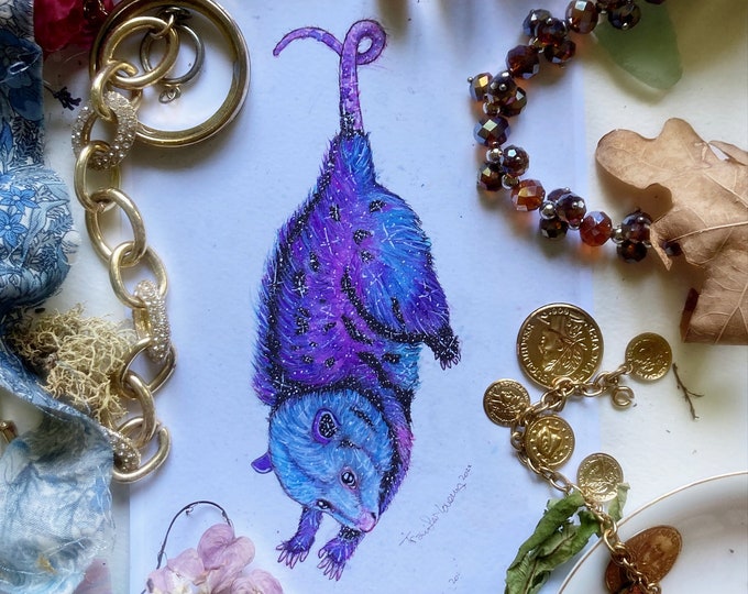 Celestial Opossum Prints