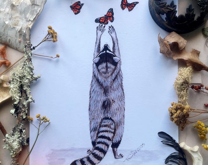 Raccoon and Butterflies Prints
