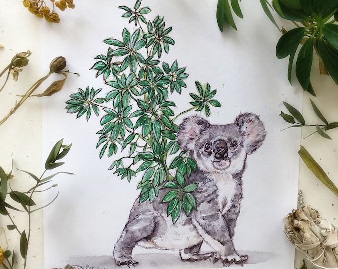 Koala Prints