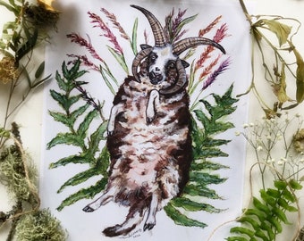 Jacob Sheep Prints