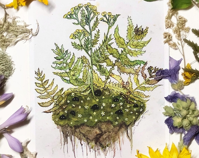 Fern Spirits Prints