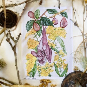 White Bat, Art Prints, Watercolor Painting, Bat Art, Witch Art, Woodland Art, Nature Art, Figs 5x7 Prints, Cottagecore Art, Witch Home Decor