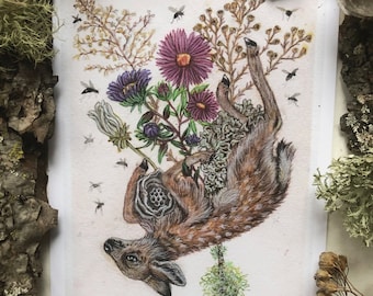 Fawn Prints