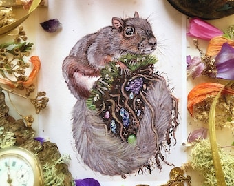 Squirrel Print - Squirrel Watercolor, Woodland Animal Art, Cute Animal Art, Woodland Critters, Woodland Nursery Decor, Art Prints, Squirrel