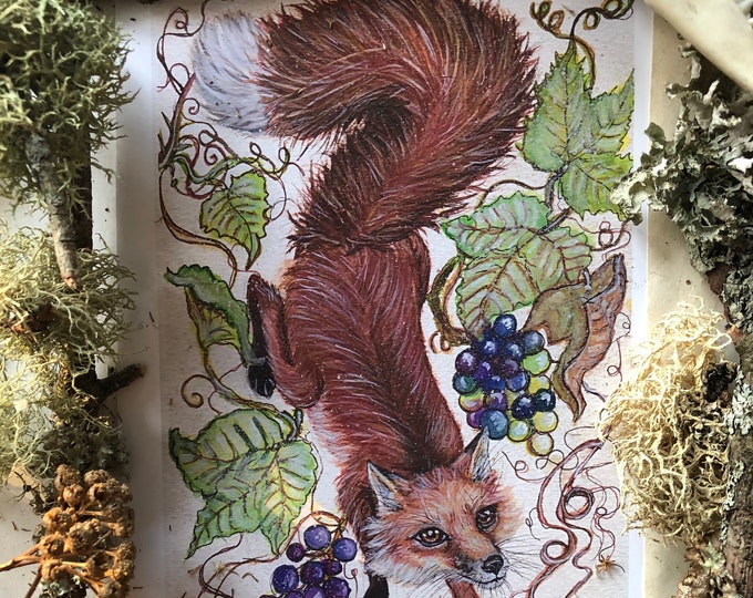 Fox Prints