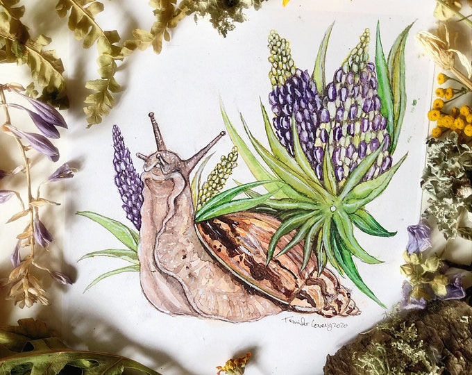 Lupine Snail Prints