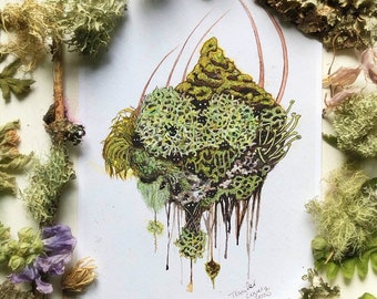 Moss Spirits Prints