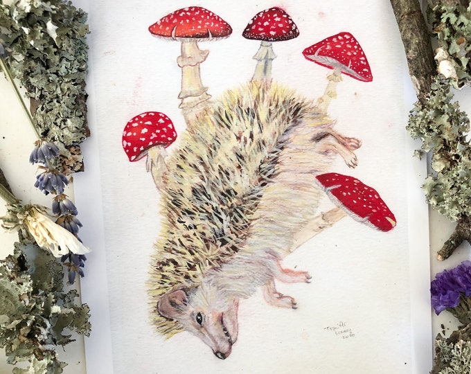 Hedgehog Prints