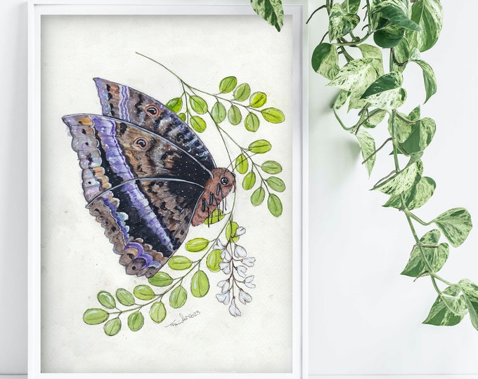Black Witch Moth Art Prints
