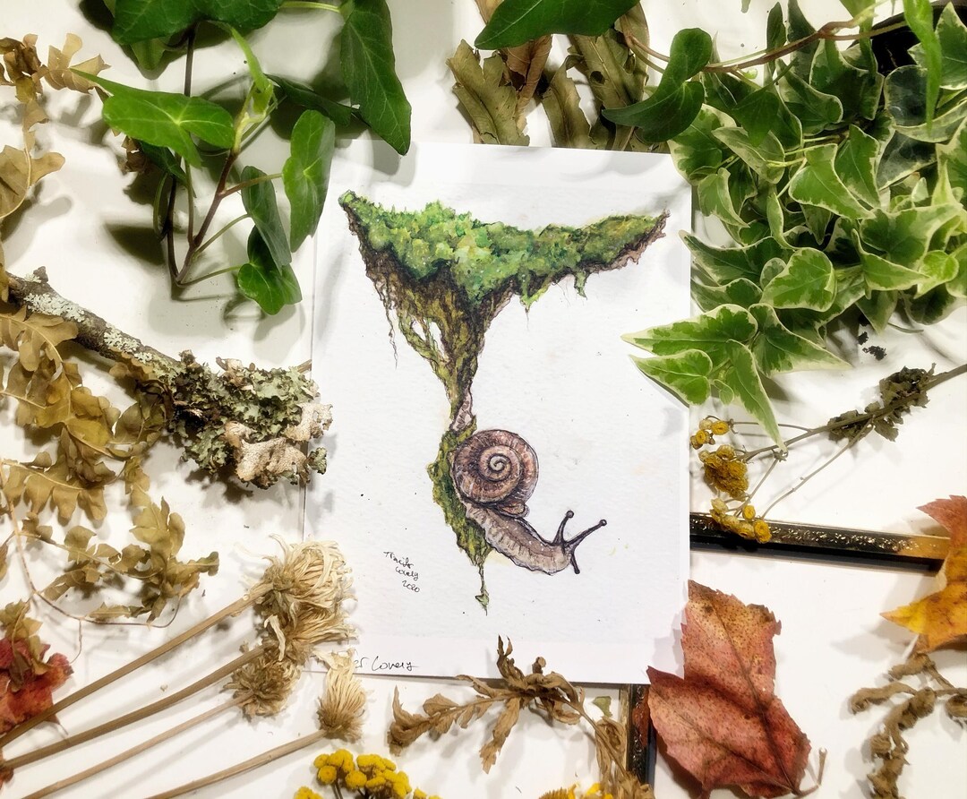 Mossy Snail, Art Prints, Watercolor Painting, Moss Art, Snail Art, Whimsical Woodland Art, Nature art, Garden Art, Moss Painting, Gardener