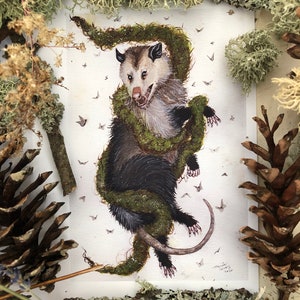 Opossum Art Prints, 5x7 and 8x10 Prints, Watercolor Possum Art, Wall Decor