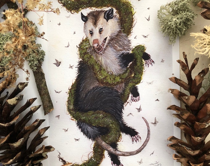 Opossum Prints