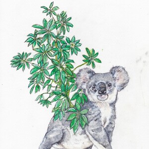 Może przedstawiać: Aquarela przedstawiająca koalę stojącą na tylnych łapach, z zieloną, liściastą rośliną rosnącą z jej plec&oacute;w. Koala patrzy bezpośrednio na widza z przyjaznym wyrazem twarzy. Obraz jest podpisany "Transfer lovely 2021" w lewym dolnym rogu.