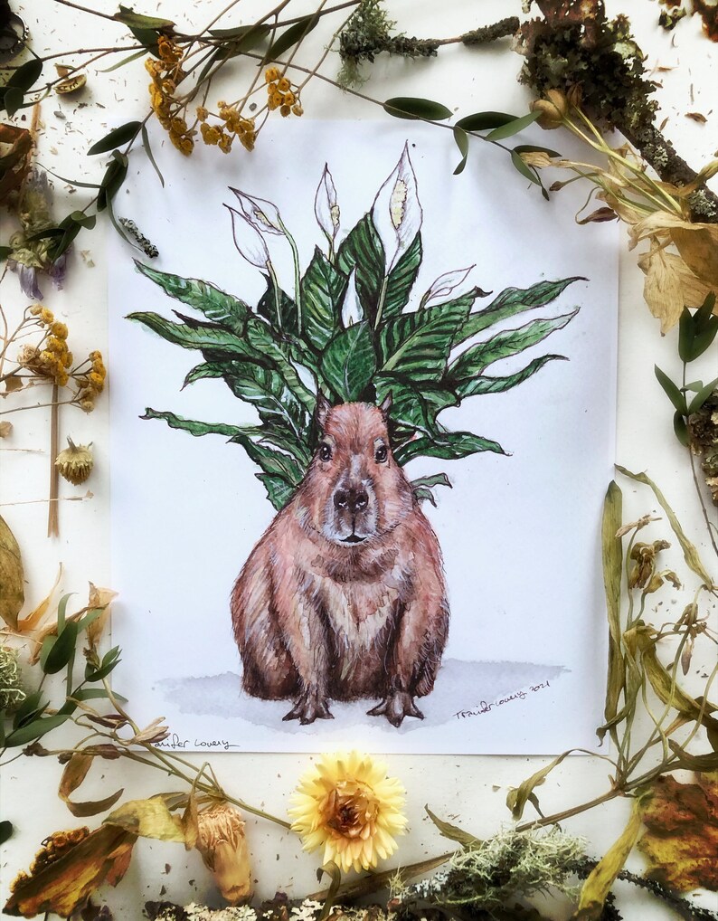 May include: Watercolor illustration of a capybara wearing a peace lily plant as a hat. The capybara is brown and has a white muzzle. The peace lily plant has white flowers and green leaves. The illustration is signed "Traid Designs 2021" in the bottom right corner.