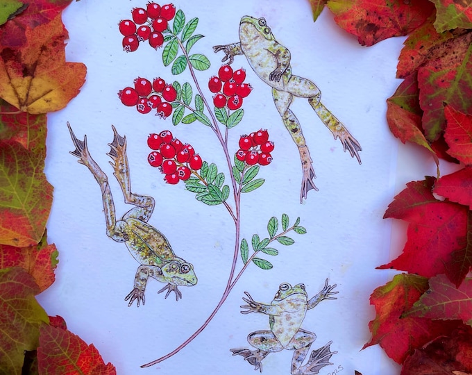 Frogs and Cranberries Prints